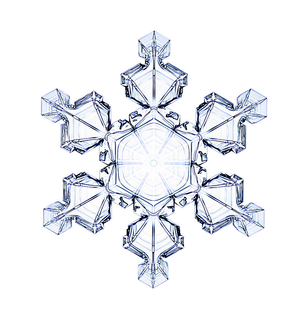 Snowflake,light micrograph