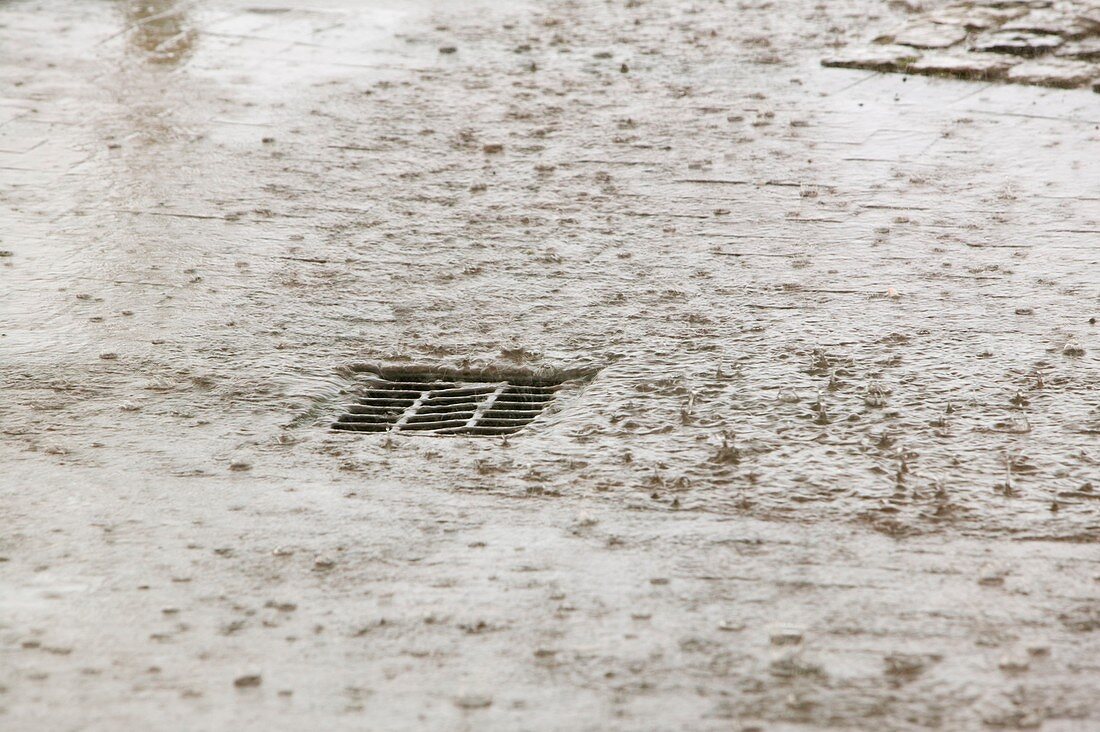 Torrential rain