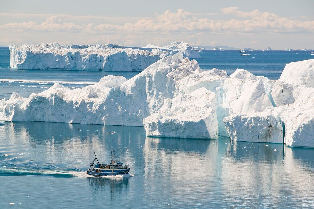 A fishing boat sails through Icebergs