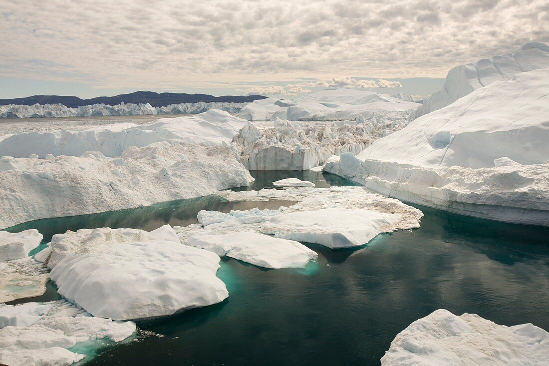 Icebergs from the Jakobshavn glacier