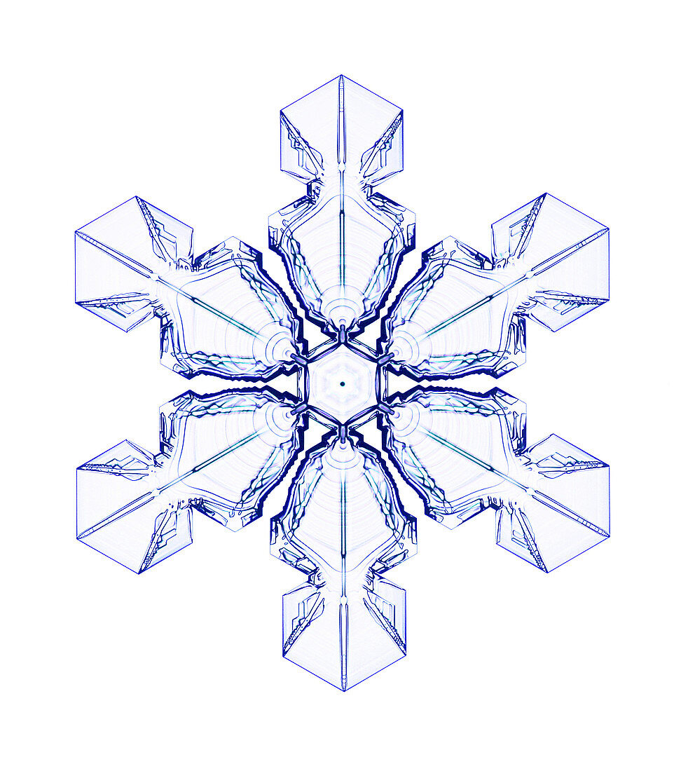 Snowflake,light micrograph