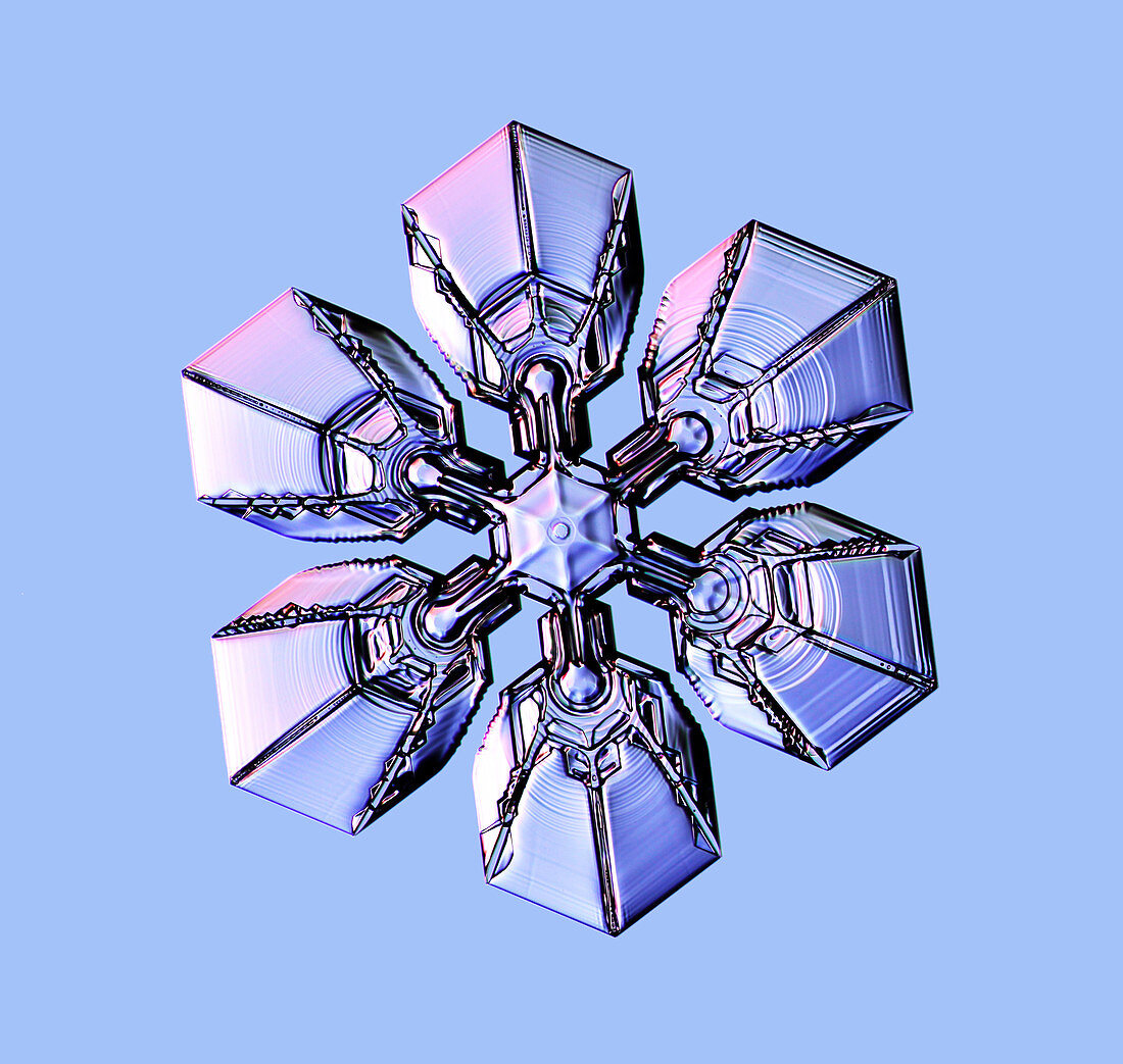 Snowflake,light micrograph