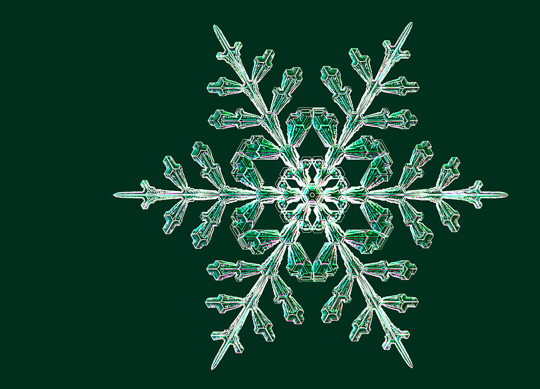 Snowflake,light micrograph