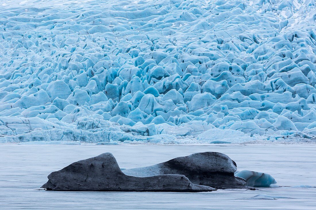 Icebergs in glacial lake