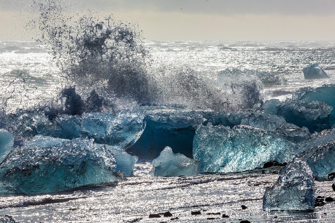 Icebergs and breaking wave