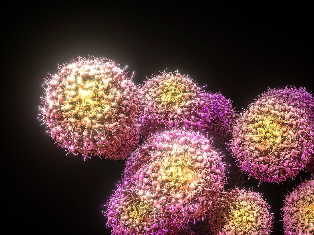 Cancer cells,3D illustration