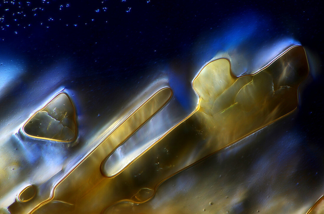 Vitamin C,light micrograph