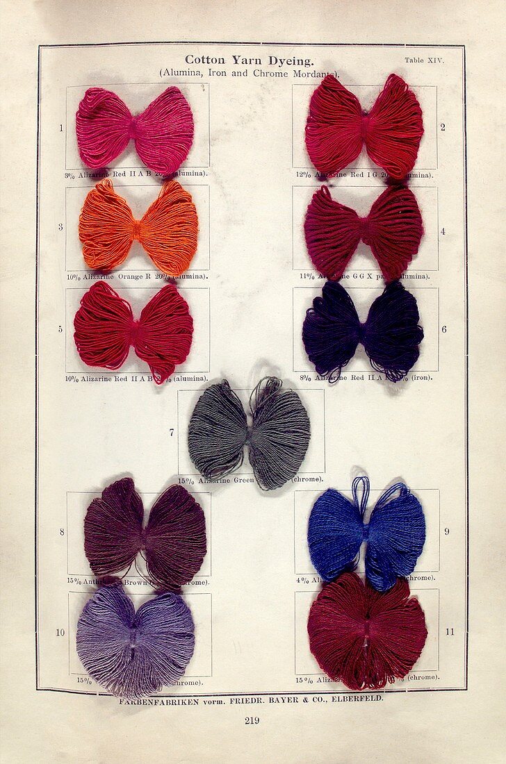 Dyed cotton yarn samples,1902