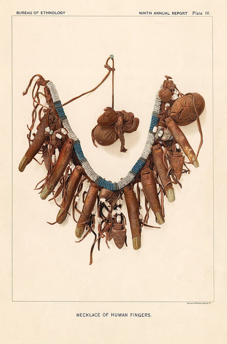 Necklace of human fingers,1877