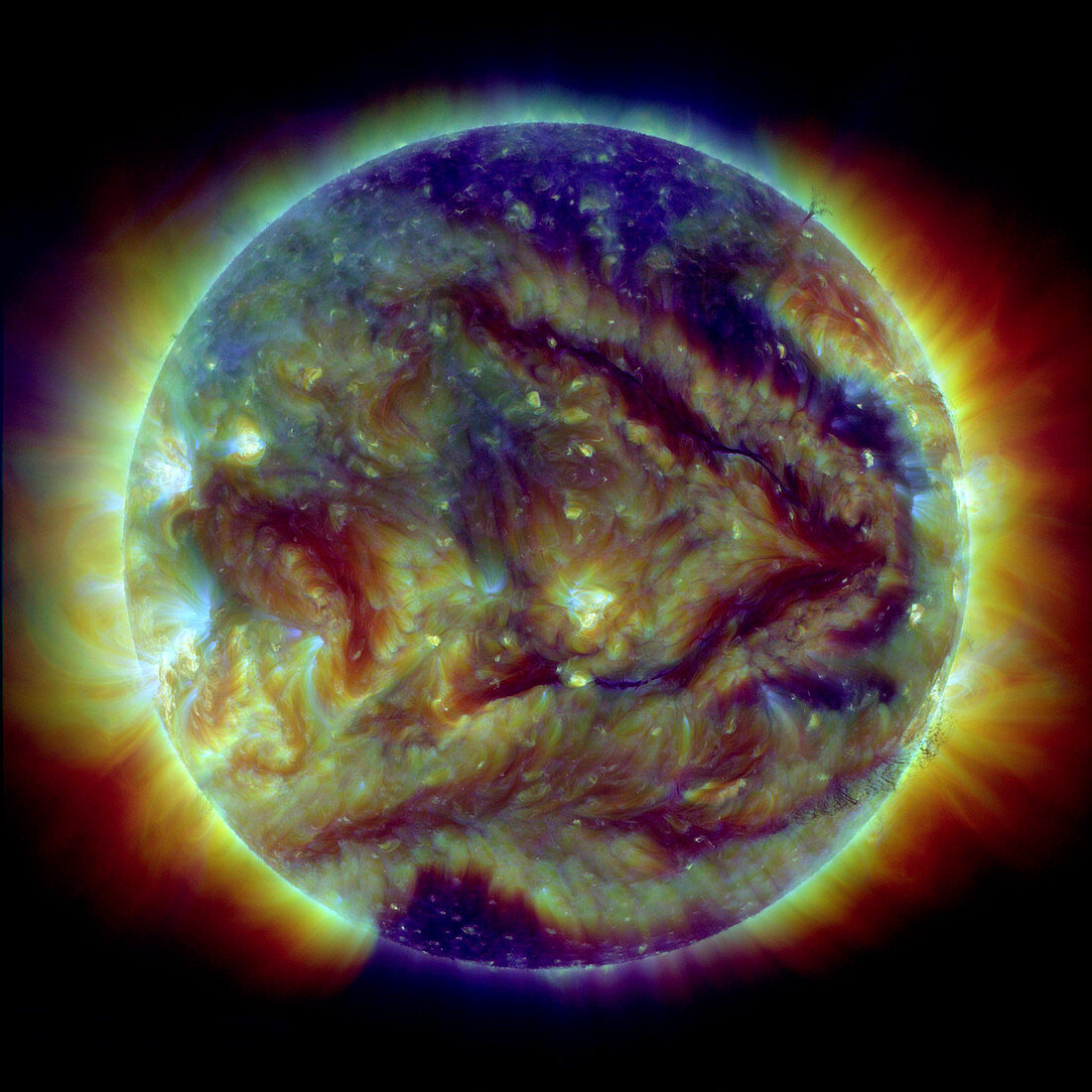 Solar filaments,SDO image