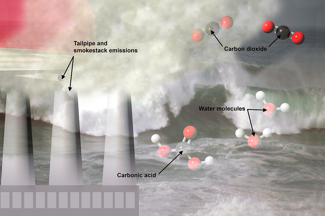 Ocean Acidification ,illustration