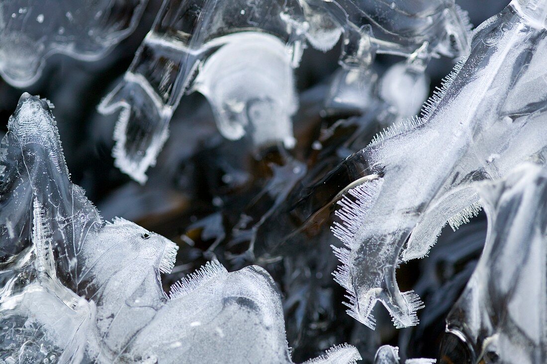 Frost patterns on partially frozen stream