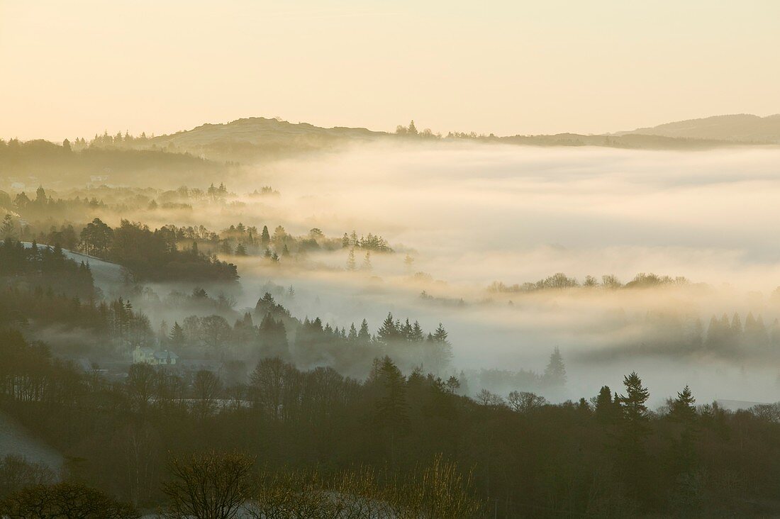 Valley mist over Windermere at dawn,UK