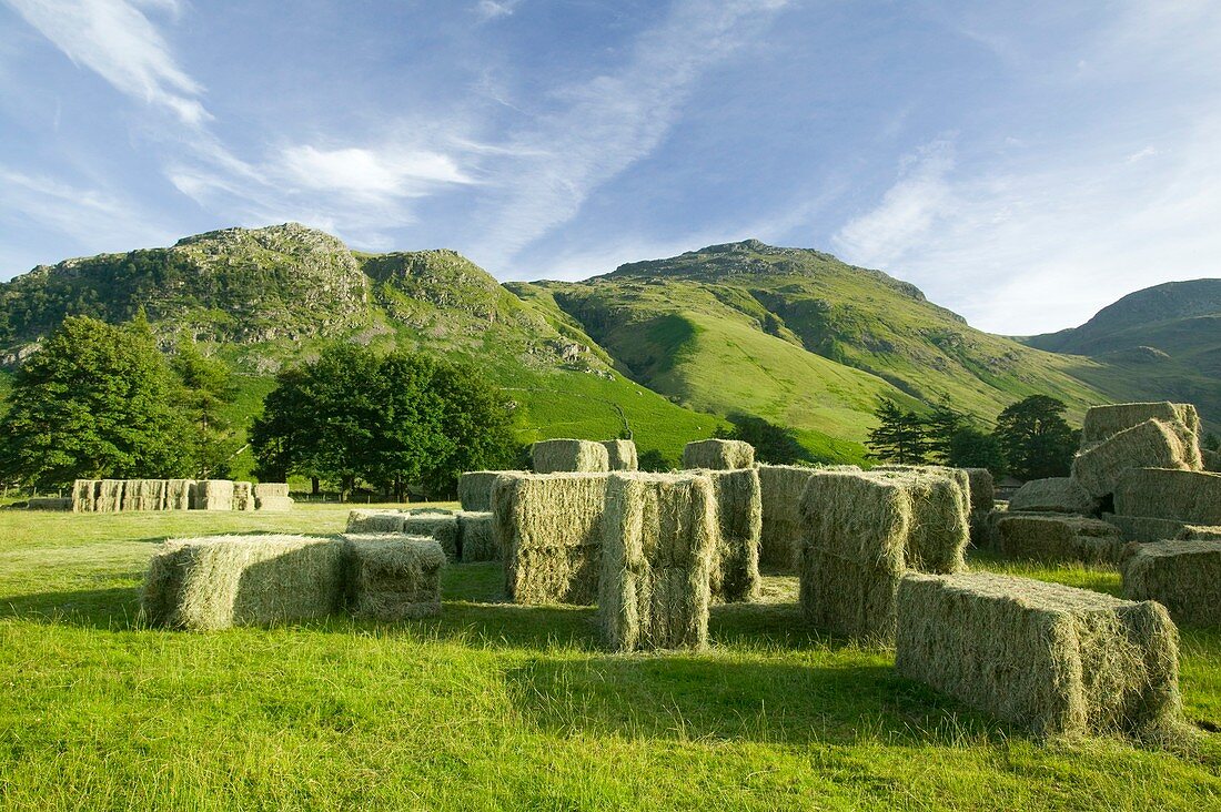 Hay bales,Lake District,UK