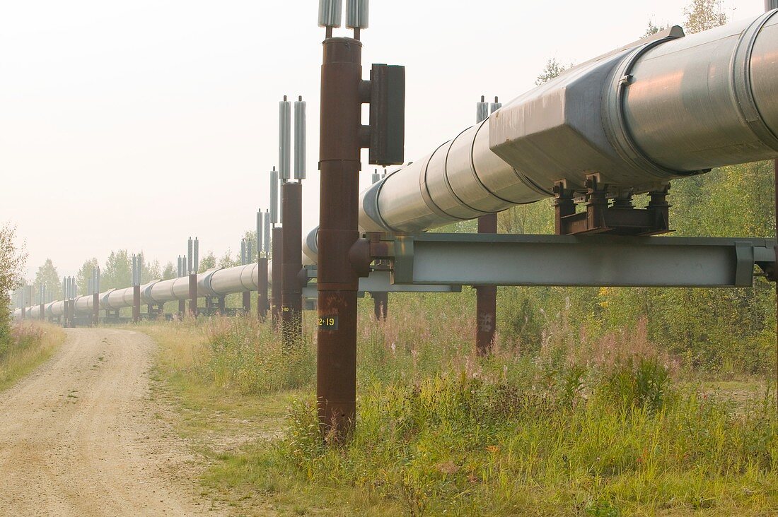 The trans Alaskan oil pipeline
