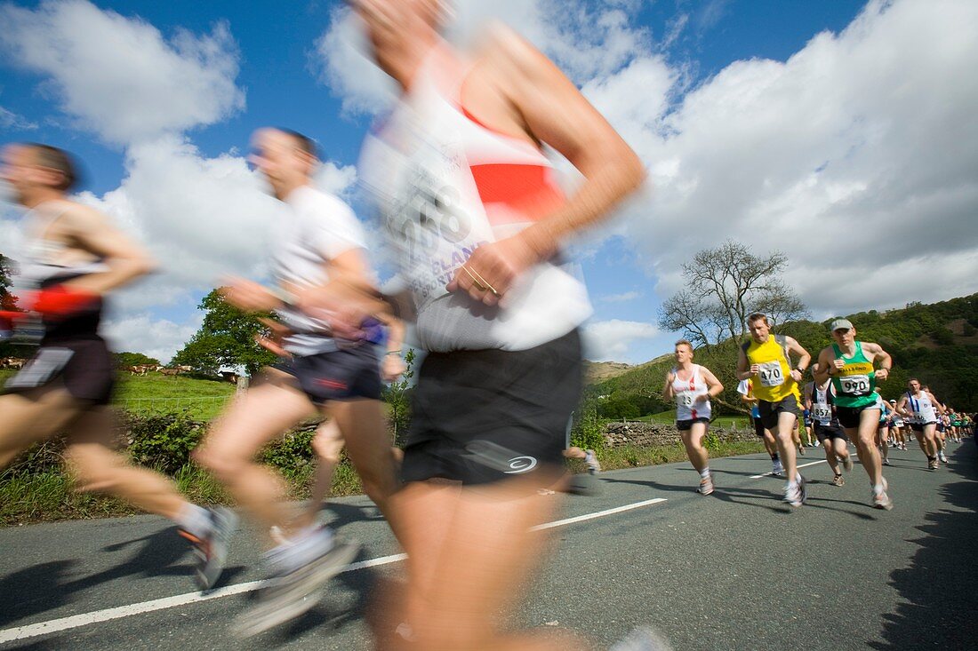Runners in the Windermere Marathon,UK
