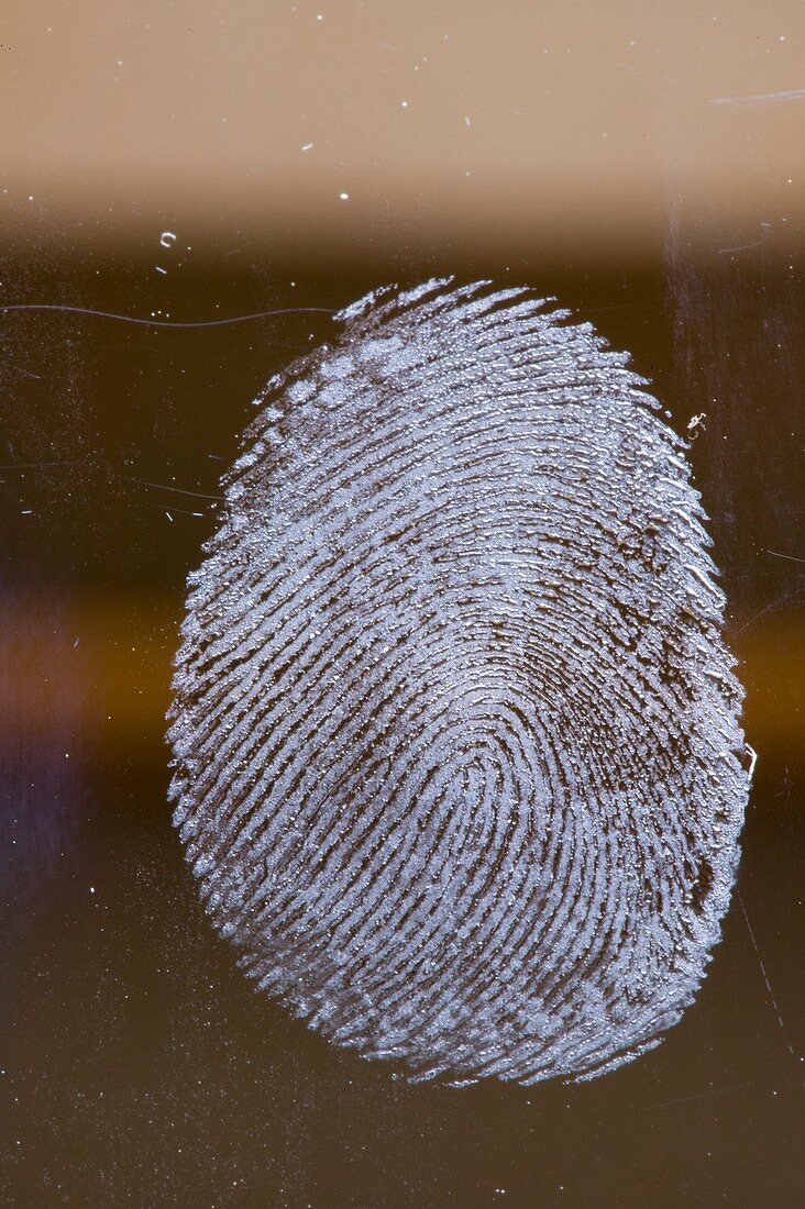 Fingerprint on glass
