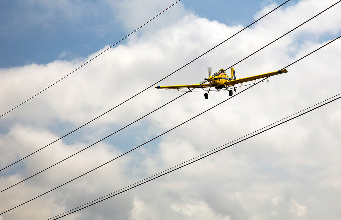 Crop duster and electricity power lines