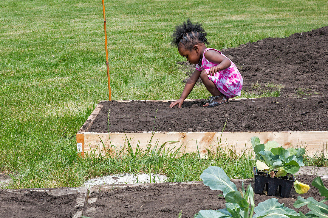 Community gardening