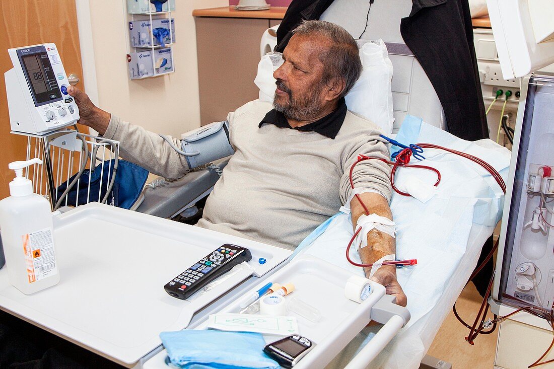 Shared care dialysis unit