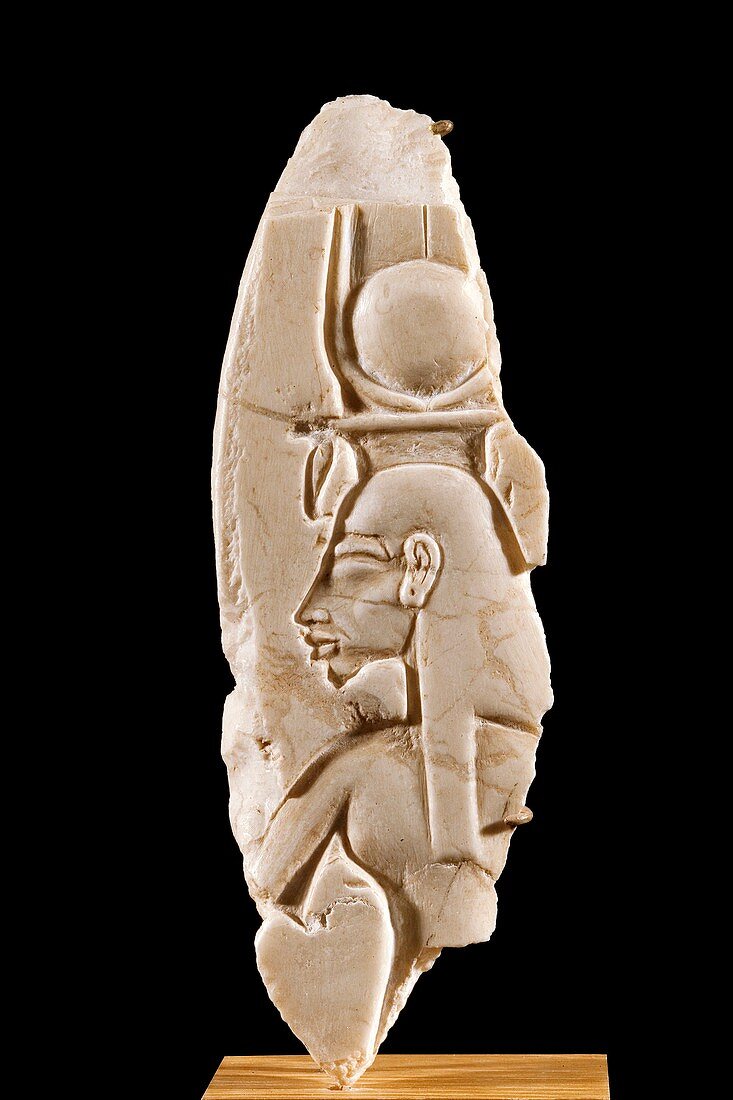 Queen Nefertiti carving,14th century BC