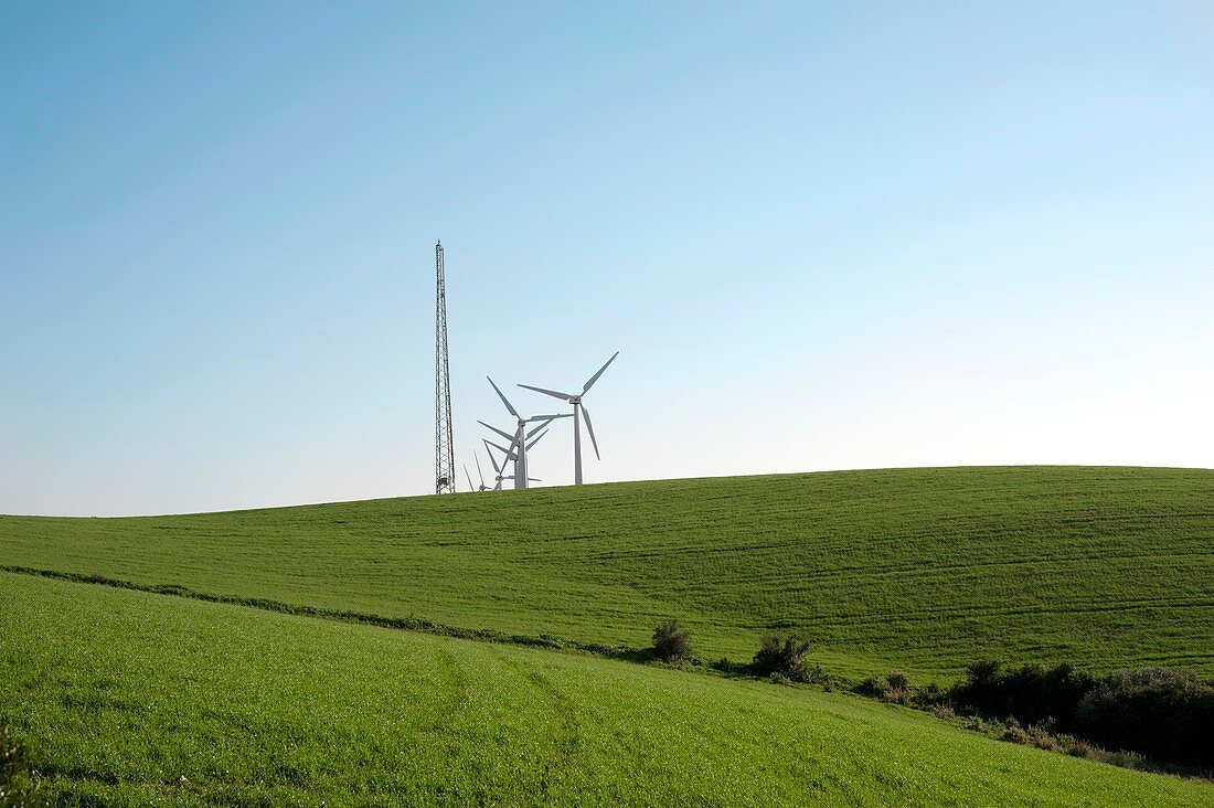 Wind turbines and pylon