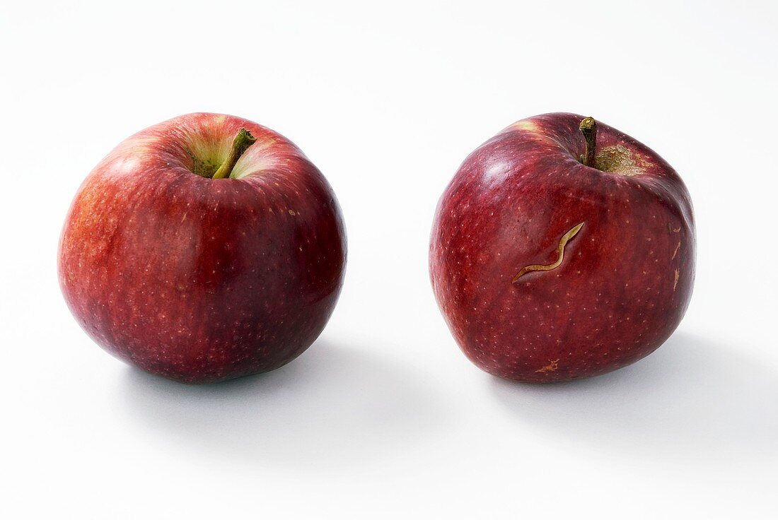 Bruised apple