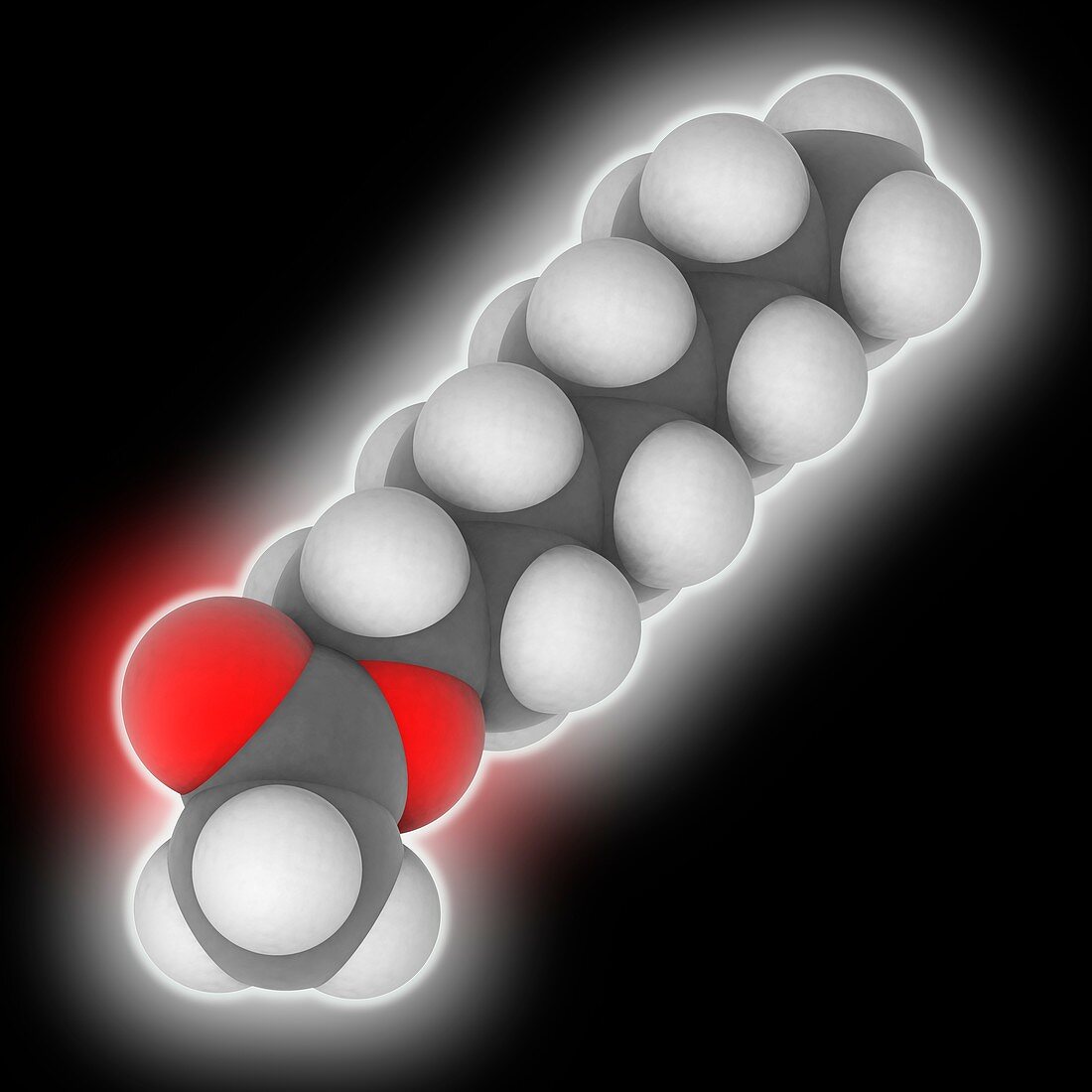 Octyl acetate molecule