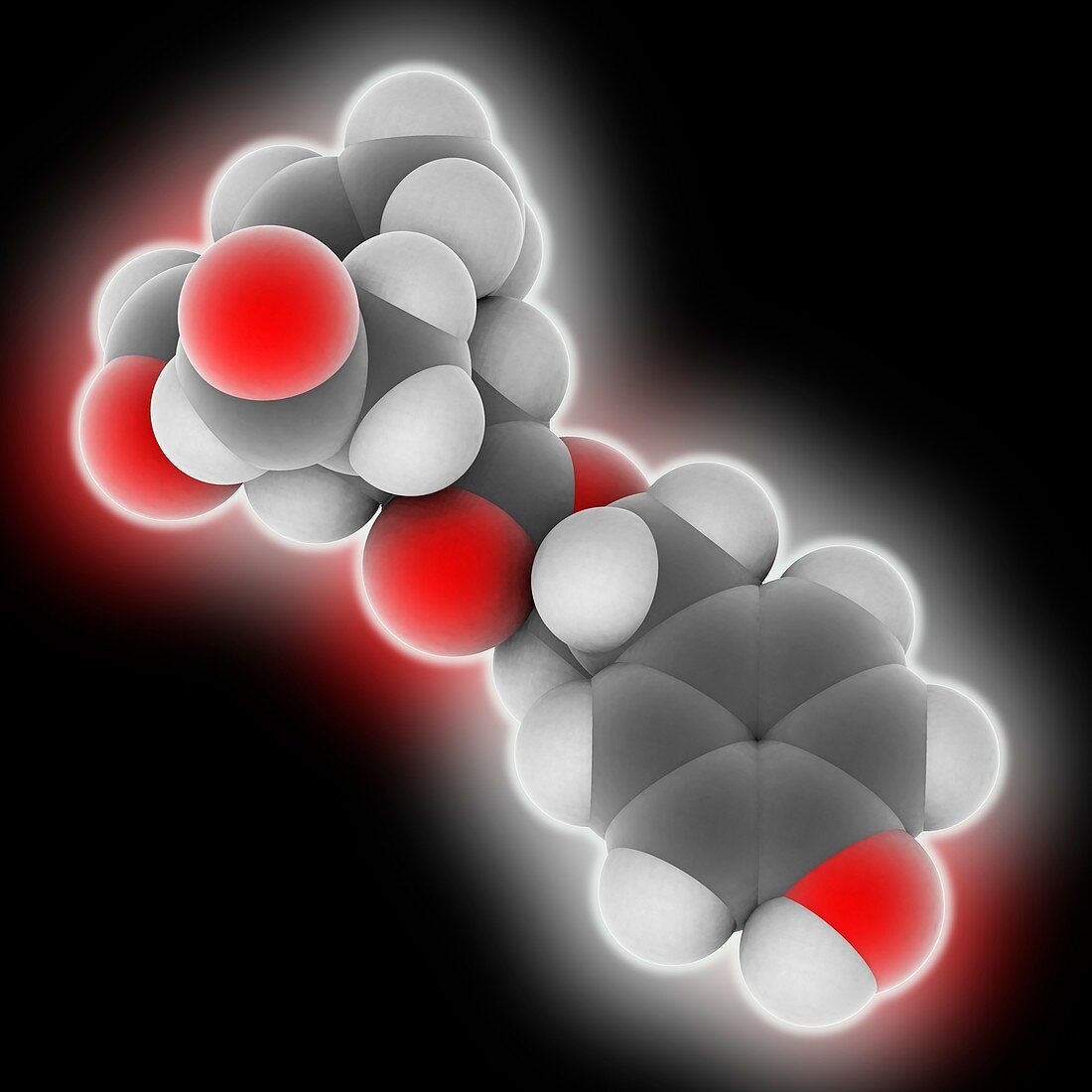 Oleocanthal molecule