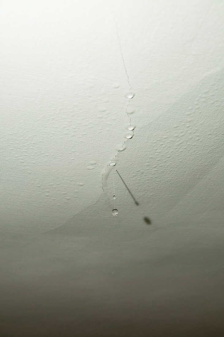 rain drops leak in ceiling