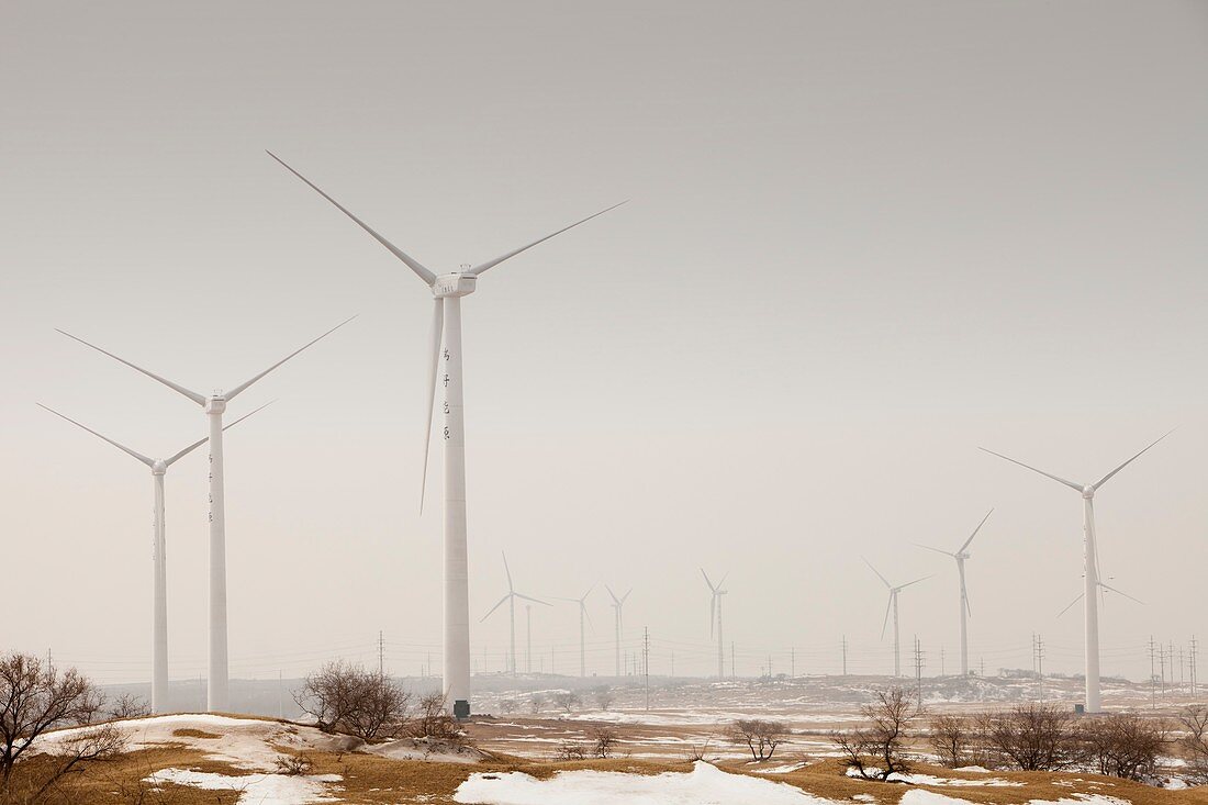 Wind farm,China