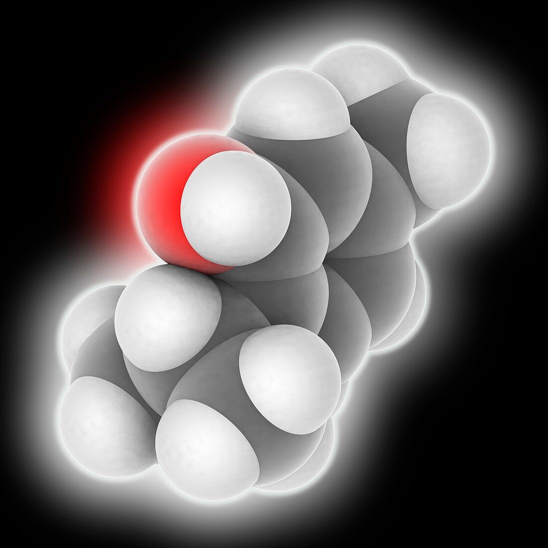 Thymol molecule