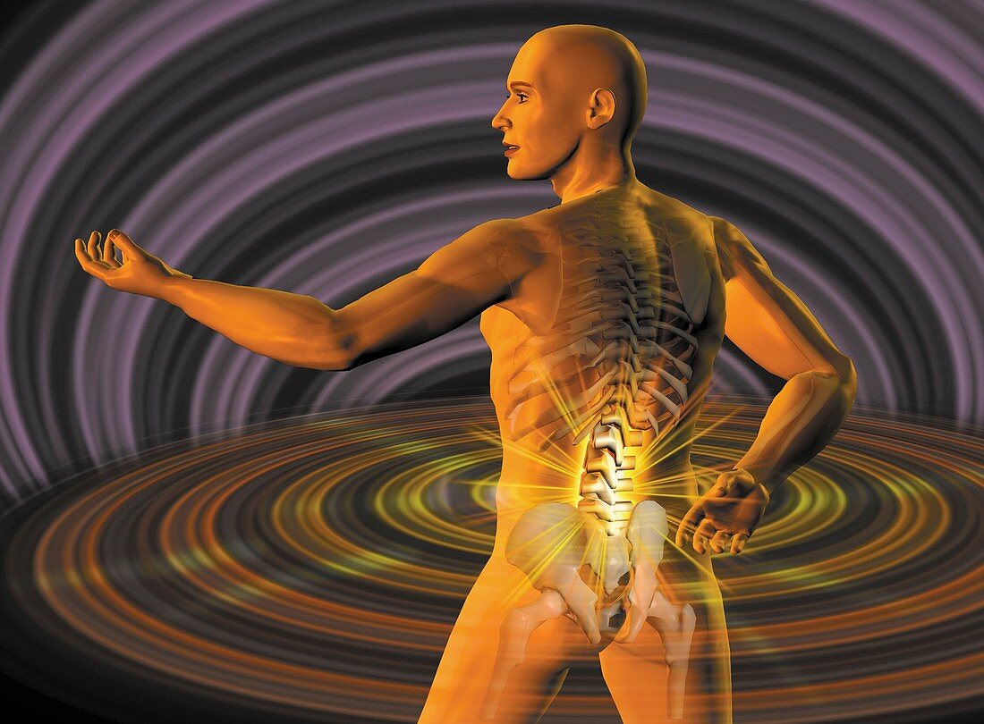 Lower back pain,conceptual image