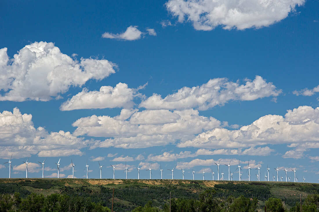 Wind farm,USA