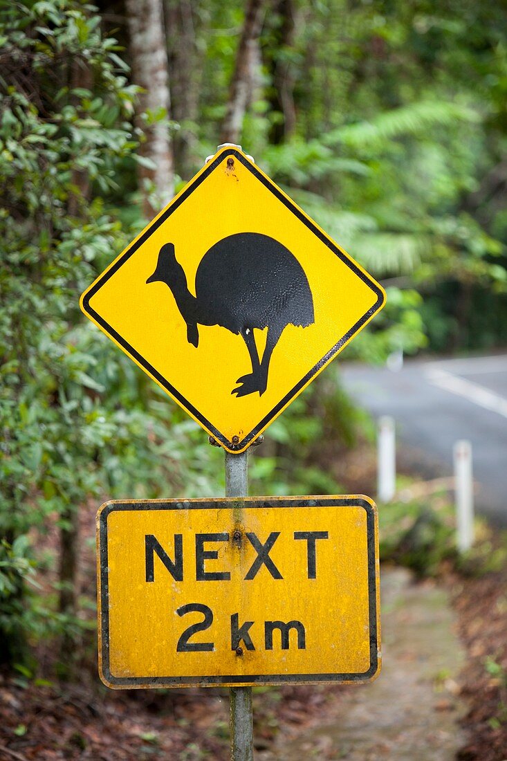 Cassowary warning sign,Australia