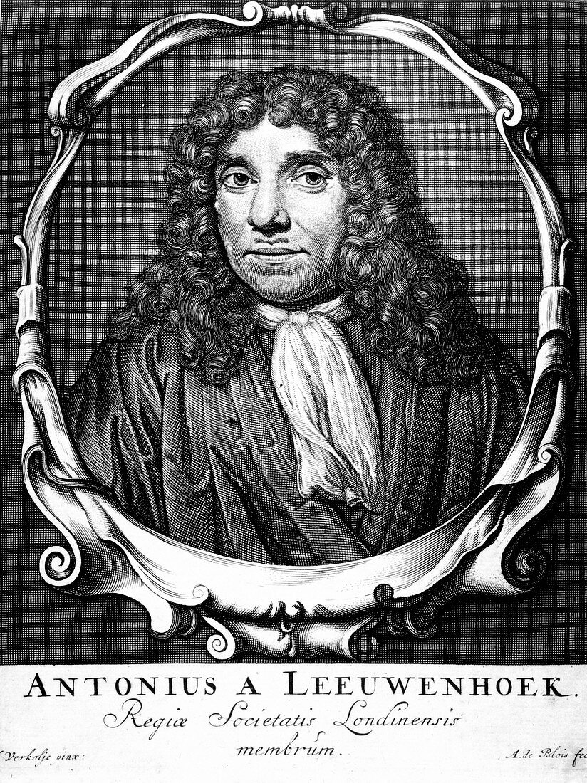 Anton von Leeuwenhoek,Dutch microscopist