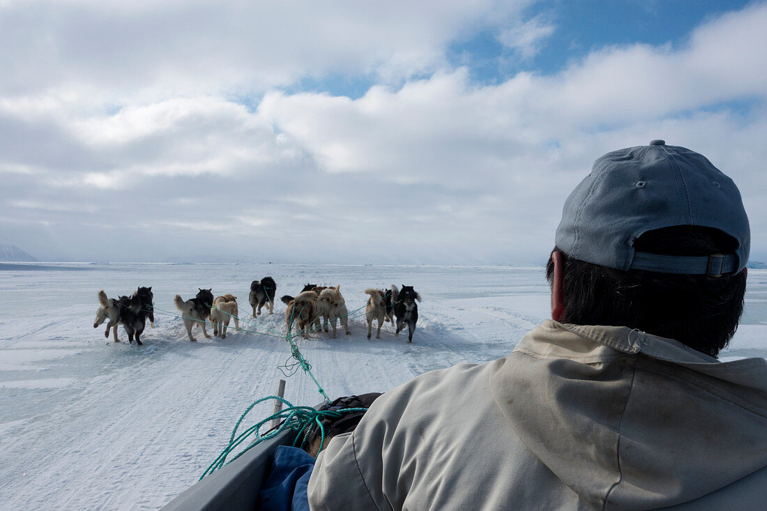 Inuit hunter and husky dog team