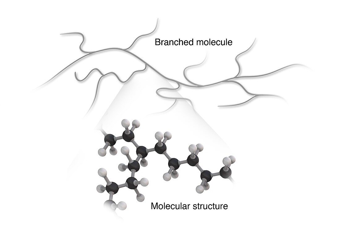 Branched molecule,illustration