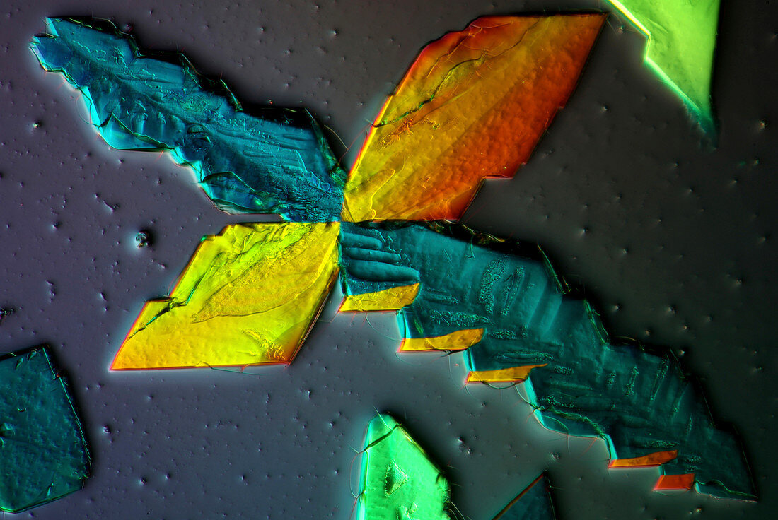 Cupric acetate crystals,light micrograph