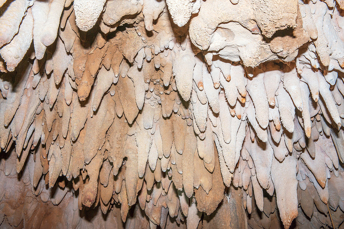 Rock formations on a cave roof