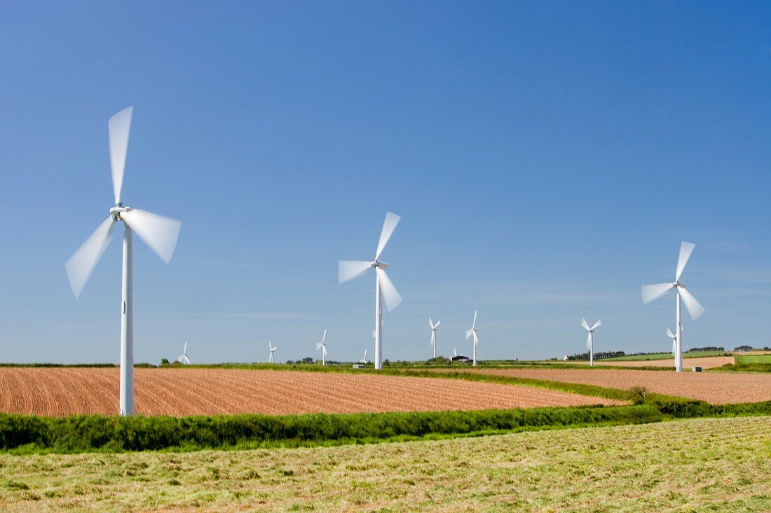 A wind farm on agricultural land