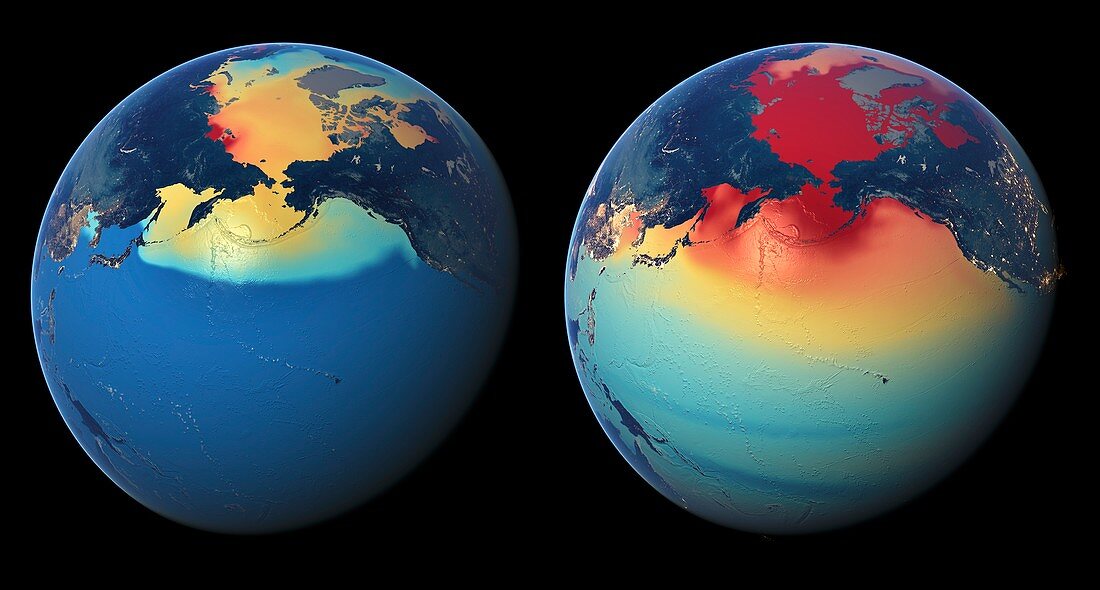 Ocean acidification,global models