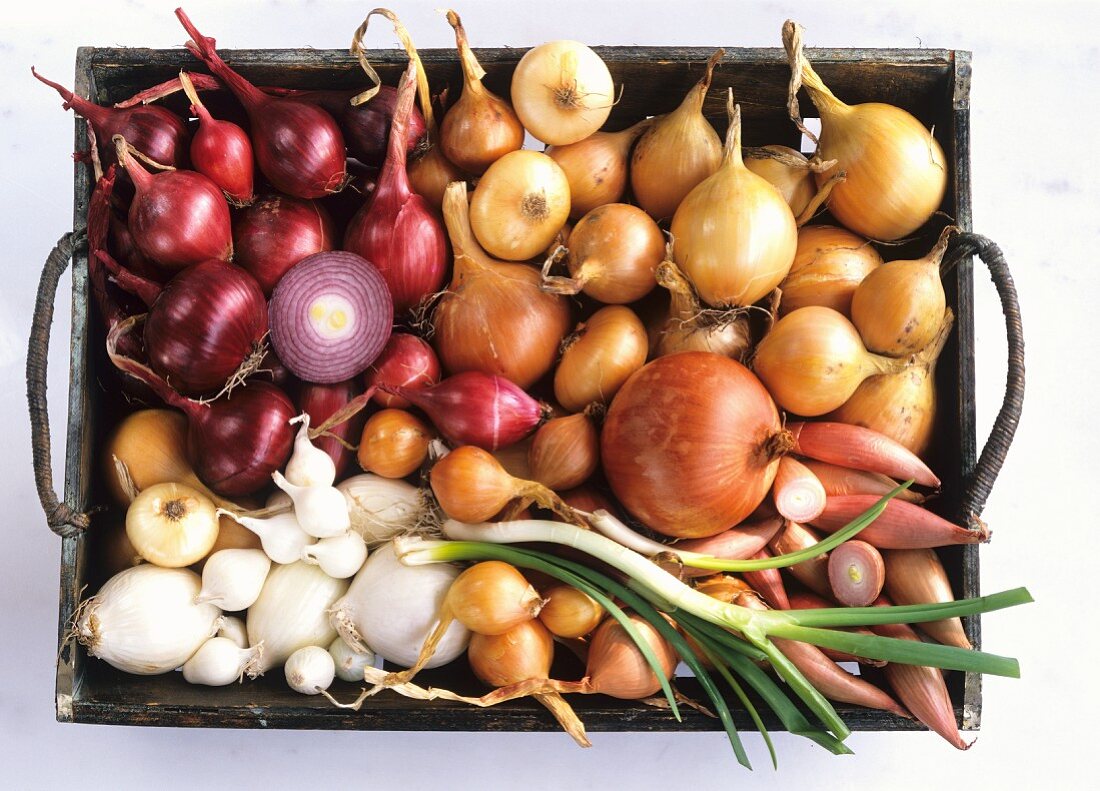 Several Bulb Vegetables in Crate from Overhead
