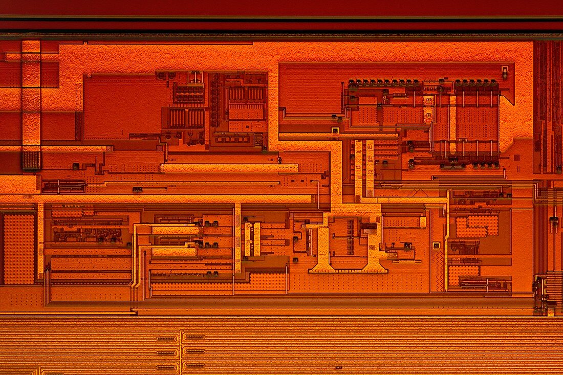 Microprocessor clock driver,micrograph