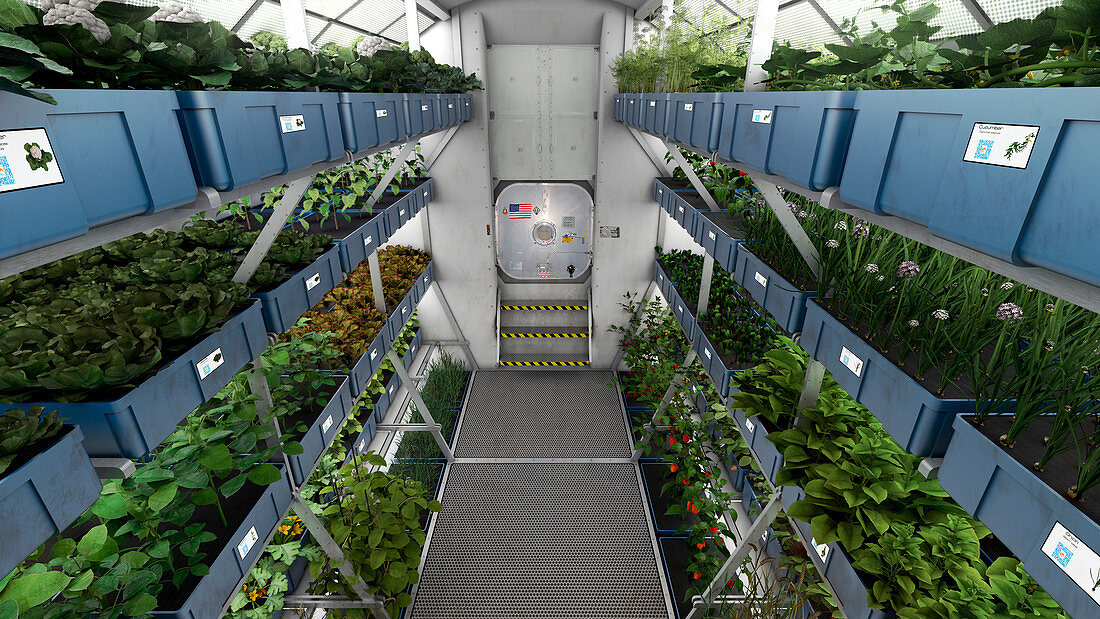 ISS plant growth system