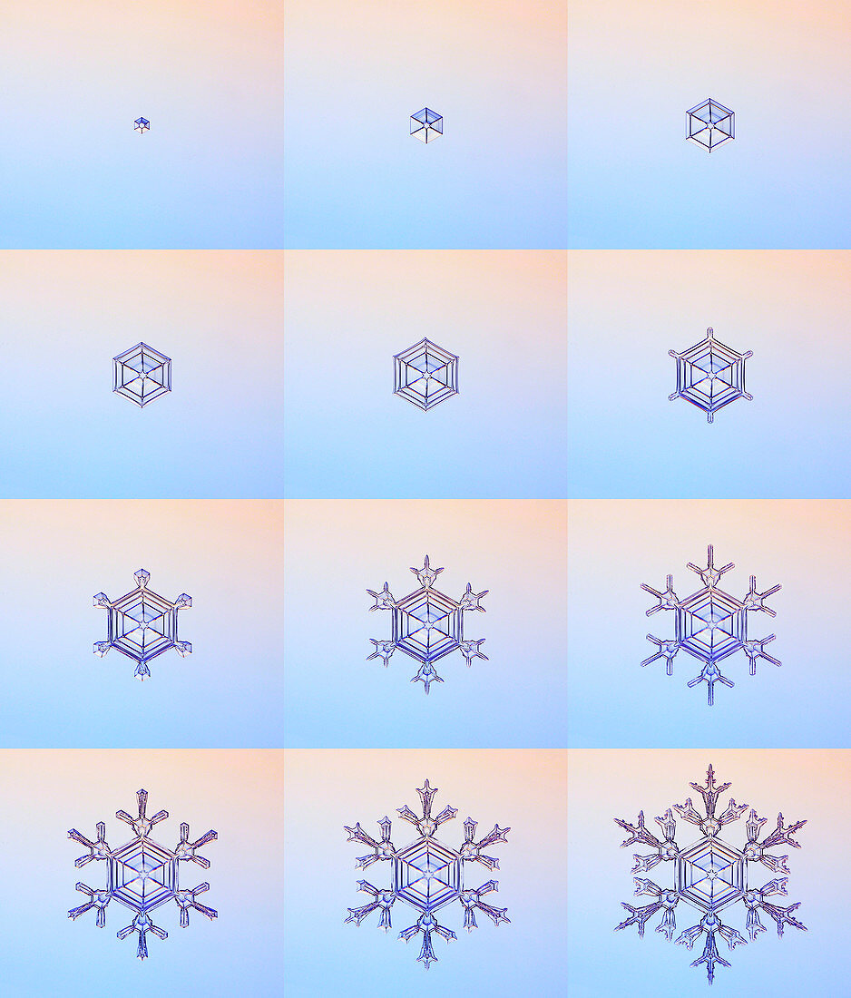 Snowflake formation,montage