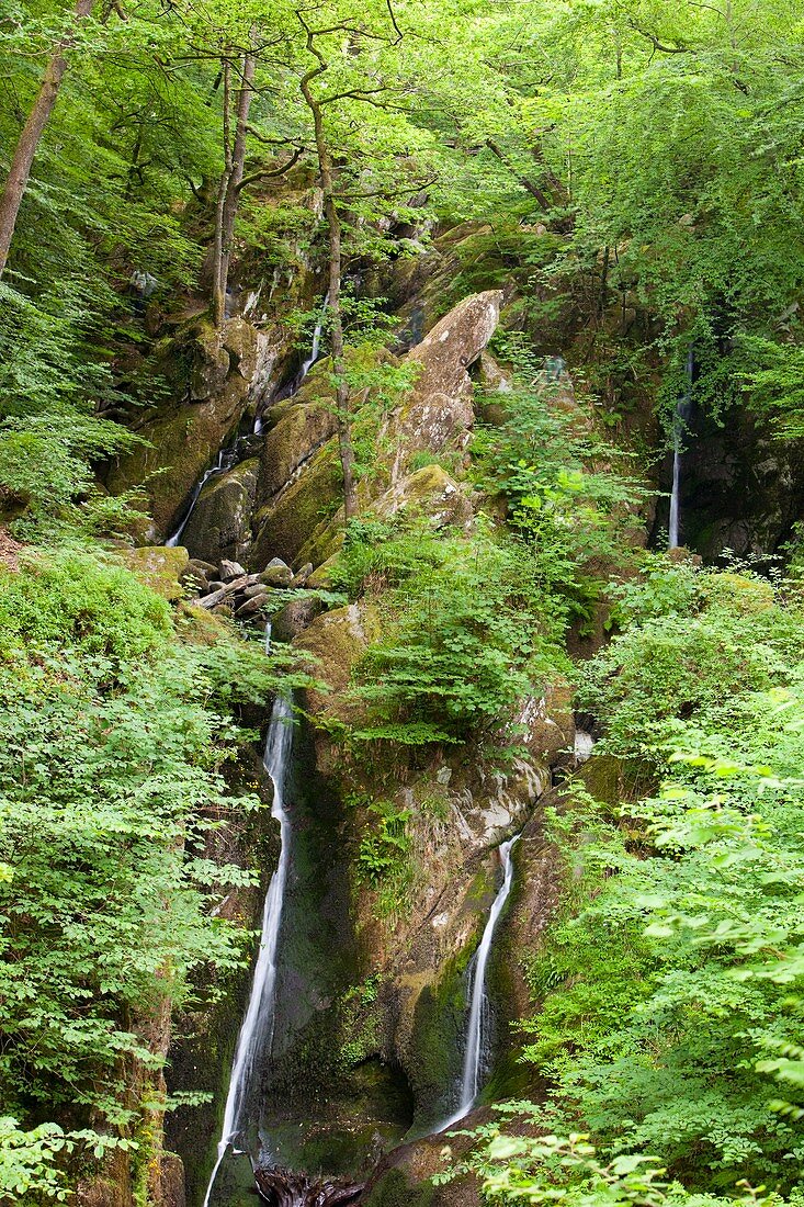 Stock Ghyll waterfall in drought