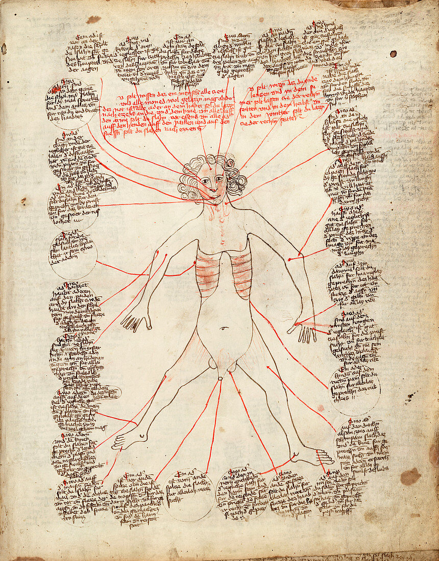 Allegorical medical man,15th century