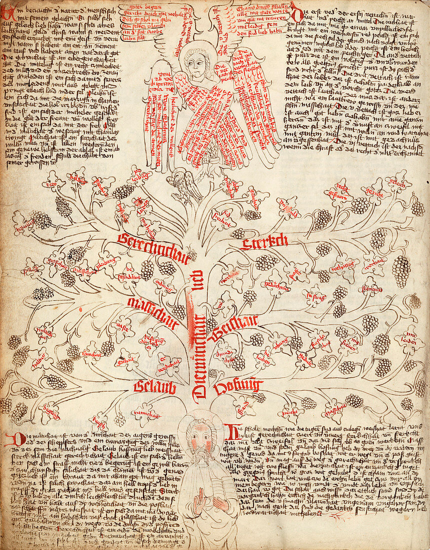 Tree of life allegory,15th century