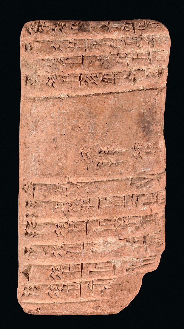 Accounting ledger,Sumerian cuneiform